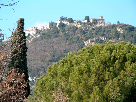 cabris