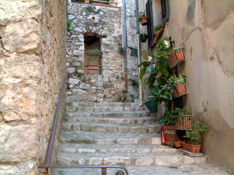 Rue
