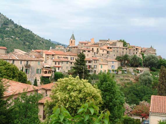 gorbio