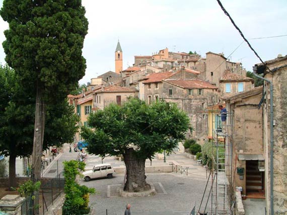 En premier plan l'orme