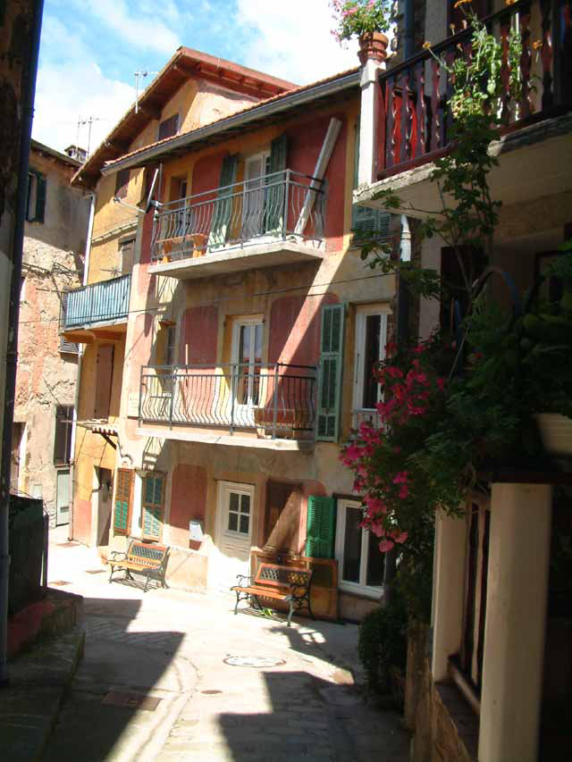 Rue