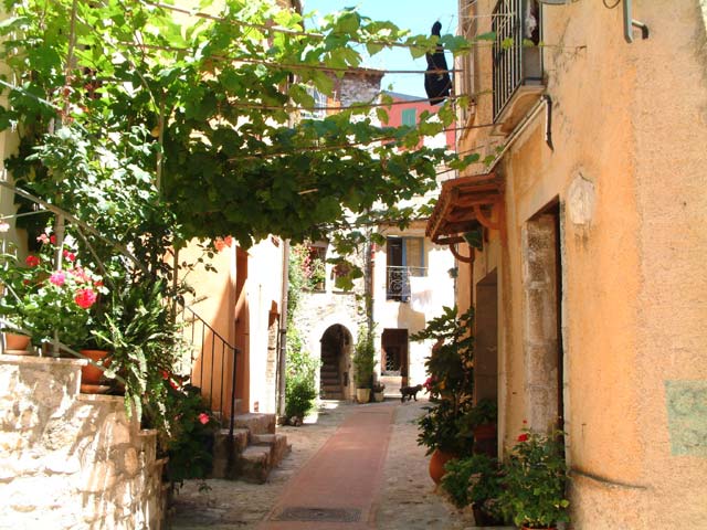 Une des nombreuses rues fleuries