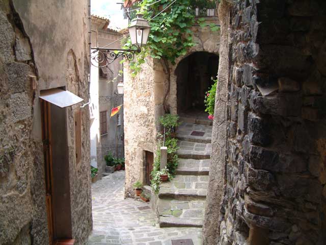 Ruelle